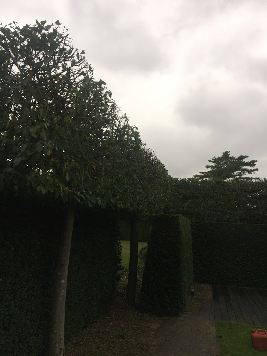 gallery grid image