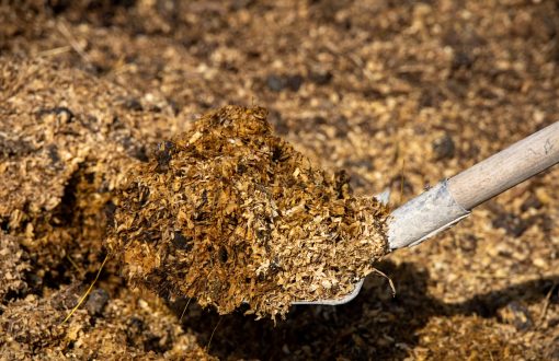 A,Shovel,Entering,A,Heap,Of,Manure,,Natural,Fertilizer,From